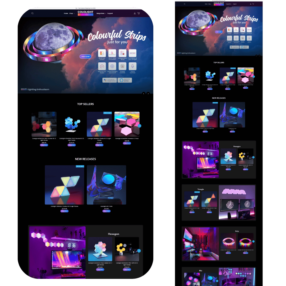 BBM Portfolio (1)
