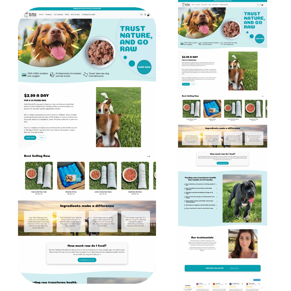 BBM Portfolio (15)